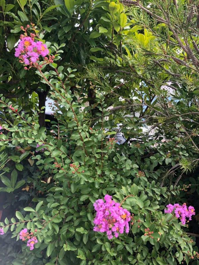 Apartment Flora Пула Екстериор снимка